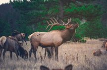 10–12 spots: Banff Tour with Turquoise Lakes, Waterfalls & Canyon