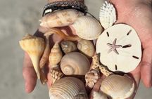 Private Cayo Costa Shelling & Cabbage Key Boat Tour