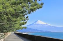 Shimizu, Shizuoka: Private Custom Tour with Local Guide