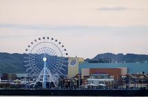 Shimizu, Shizuoka: Private Custom Tour with Local Guide