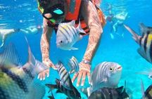 Snorkeling in Heaven Cozumel From Cancun