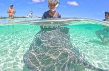 Snorkeling in Heaven Cozumel From Cancun