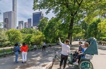 Central Park Celebrity Homes Tour