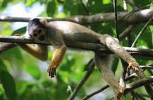 Sandoval Lake Full Day Tour in Tambopata