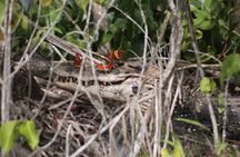 Sandoval Lake Full Day Tour in Tambopata