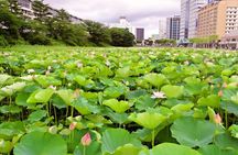Akita Private Custom Tour with Local Guide