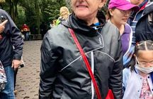 Business Train or Van Private Pandas and Buddha