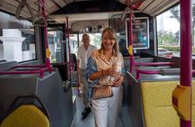 Private Custom Singapore Walking Tour (4–8 Hrs, Flexible Plan)