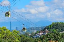 Pinglin Tea Culture & Maokong Day Tour from Taipei