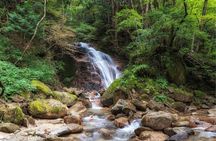 Nakasendo Trail and Post Towns Private Hike from Nagoya