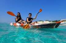 Okinawa Miyako Half Day SUP or Canoe at Scenic Blue Beach