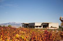 Campo Viejo No 1 Rioja in the World Visit the Home of Rioja
