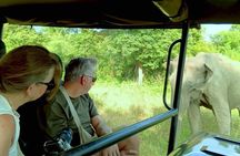 Private Tour from Ella to Hiriketiya with Udawalawe Safari