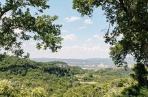 Winery Tour & Wine Tasting with Cheese at a Family Winery