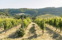 Winery Tour & Wine Tasting with Cheese & Charcuterie