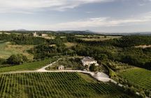 Winery Tour & Wine Tasting with Cheese at a Family Winery