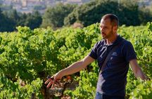 Bandol & Cassis Wine Tour From Aix en Provence