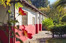 3 Day Private Maule Wine Tour Coastal Train and Gastronomy