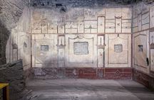 Private Pompeii Tour from Naples with Guide and Transport