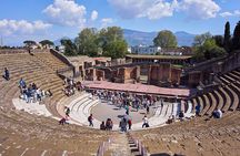 Private Pompeii Tour from Naples with Guide and Transport