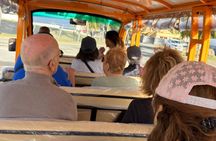 Tortola Road Town Culture Tour with Electric Trolley