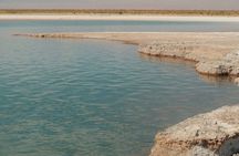 Tour Lagoa Cejar, Lagoa Tebenquinche and Ojos del Salar