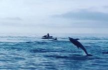 2 Hours Jet Ski Dolphin Tour in Myrtle Beach