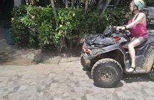 Roatan Create Your Itinerary -up to 12 pax