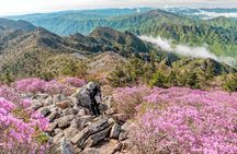 Mount Seorak and Nami Island One Day Tour from Seoul