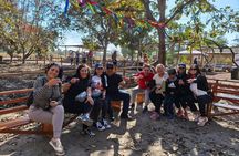 Paracas and Huacachina from Lima – Crossbows and Sandboarding