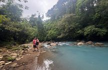 Private Magic Rainforest Blue River, Wildlife & Waterfalls Tour