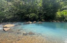 Private Magic Rainforest Blue River, Wildlife & Waterfalls Tour