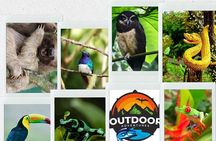 Private Magic Rainforest Blue River, Wildlife & Waterfalls Tour