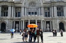 Fine Arts Tour and cdmx center tour with Erick local guide. 3hrs
