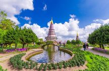 Doi Inthanon Waterfalls Rice Fields Tour from Chiang Mai