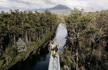 Tahune Airwalk Hasting Caves and Thermal Springs Pool from Hobart