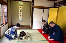 Private Nikko Toshogu Tour with Tea Ceremony