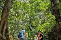 Ninh Binh Day Trek at Cuc Phuong National Park and Bear Sanctuary