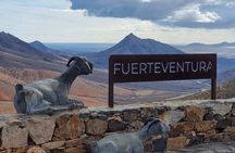 Fuerteventura: Discover ALL the wonders & hidden gems. MAX 8 pax