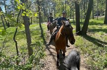 Horseback Adventure Belgrade