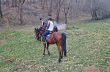 Horseback Adventure Belgrade
