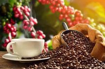 Private tour : Materuni Waterfalls & Coffee Tour with Local Lunch