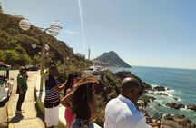 Discover marzipan by panoramic van up to 6 people