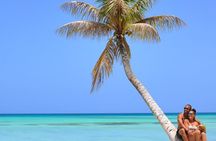 Saona Island Day Trip from Punta Cana with Lunch Included