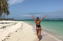 Saona Island Day Trip from Punta Cana with Lunch Included