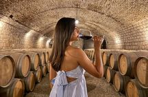 Santiago Pass : Bus, Cerro San Cristobal and the Best Tours