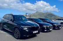 Cape of Good Hope & Chapman’s Peak Private Tour