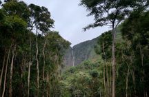Cultural Stewardship in Waipiʻo Valley PRIVATE