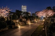 Tokyo Night Tour Ghost Stories and Cemetery Walk