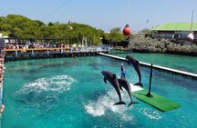 Rosario Islands Tour with Snorkel, Cholon & Lunch